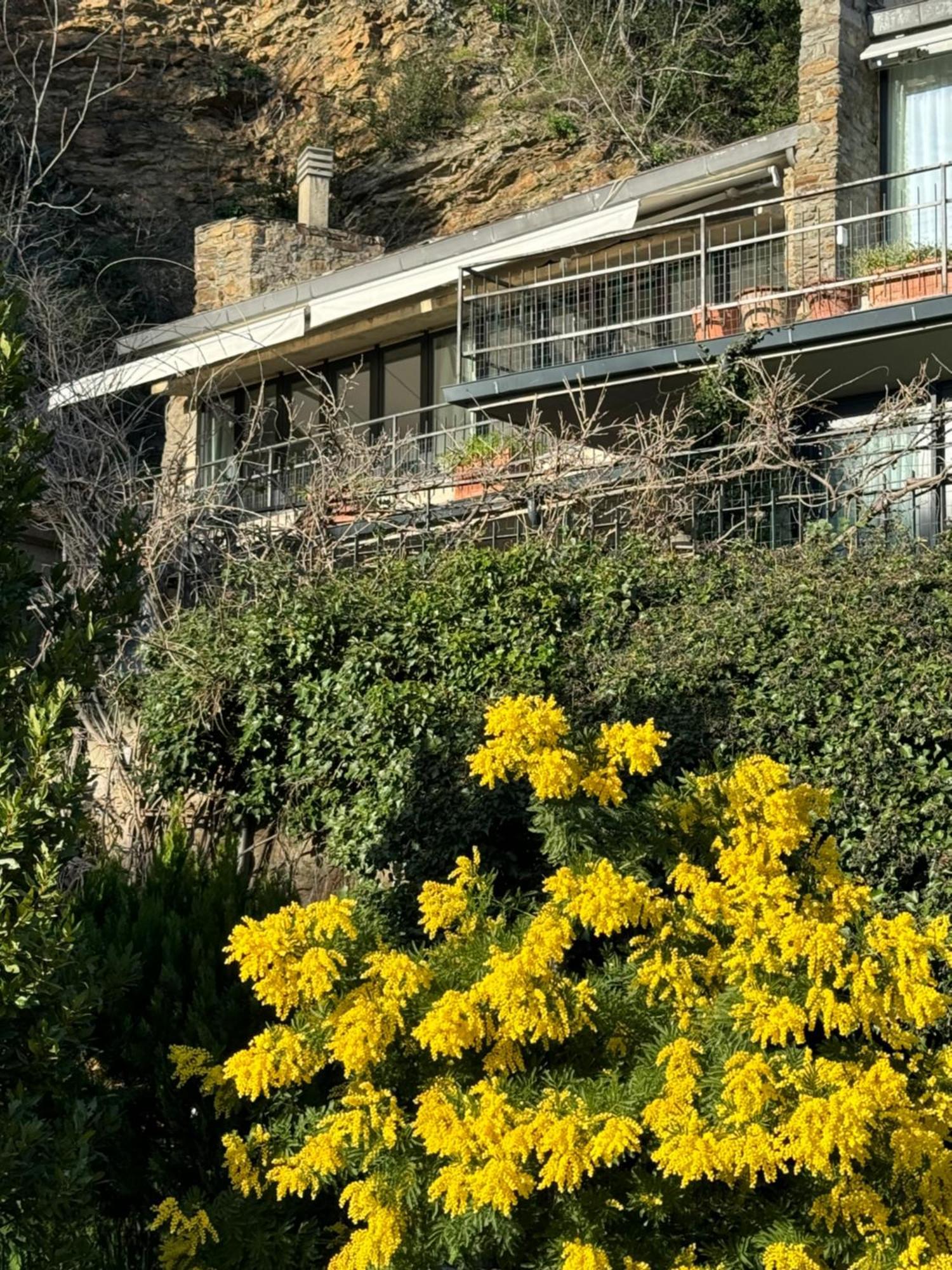 Florence Rock Apartment 外观 照片